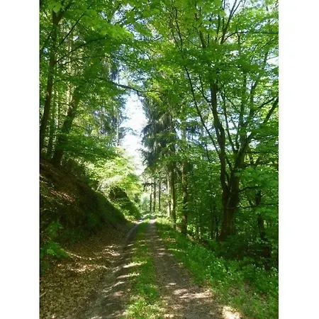 Oud Veerhuis Anno 1633 Ferienhaus *